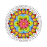 Mandala Coloring Book