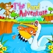 The Pond Adventure